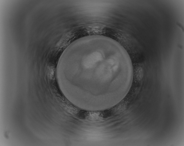 X0000101220709200807181552