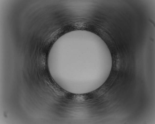 X0000101220710200807181552