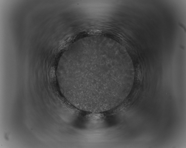 X0000101220711200807181552