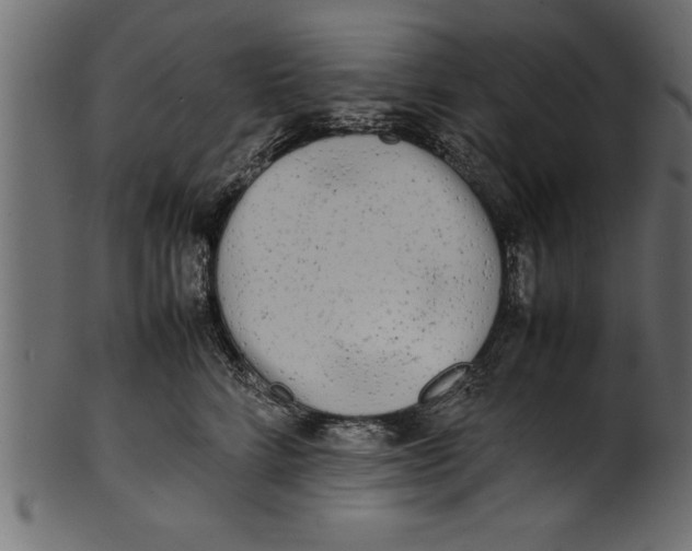 X0000101220712200807181552