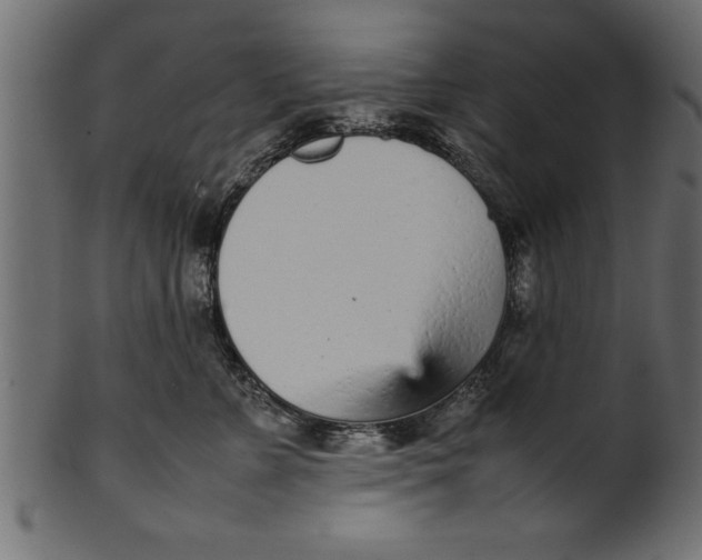 X0000101220715200807181552