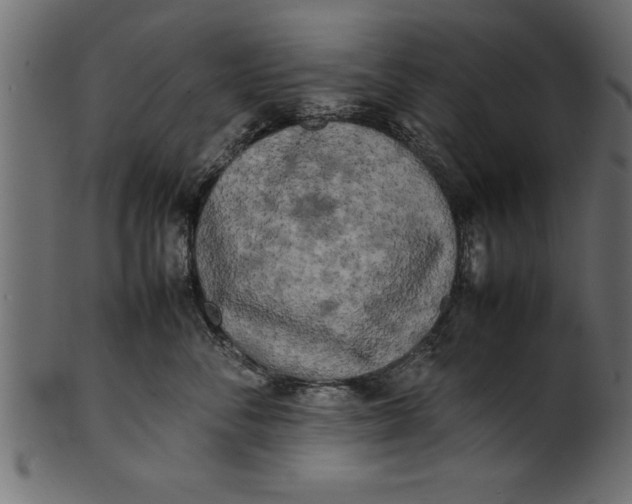 X0000101220716200807181552
