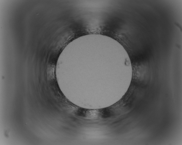 X0000101220717200807181552