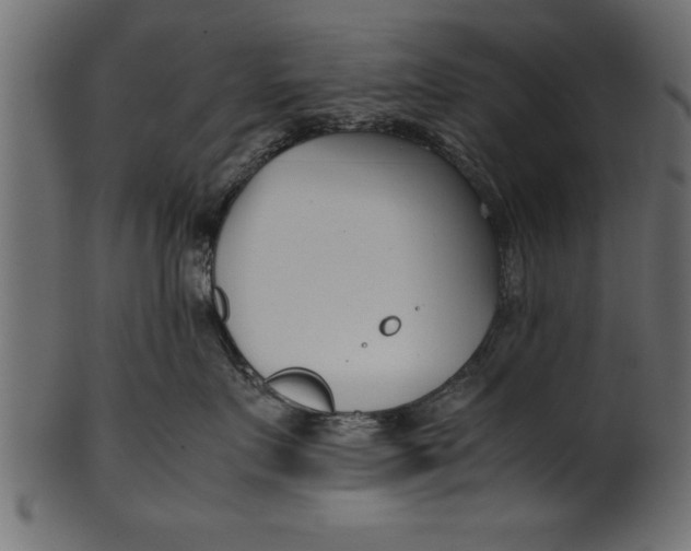 X0000101220719200807181552