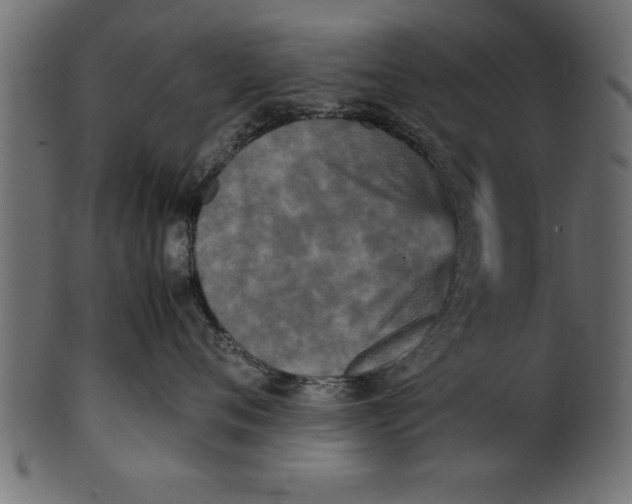 X0000101220720200807181552