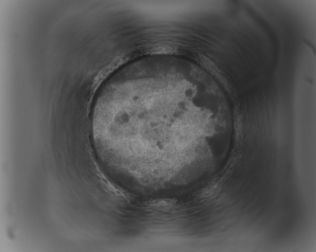X0000101220721200807181551