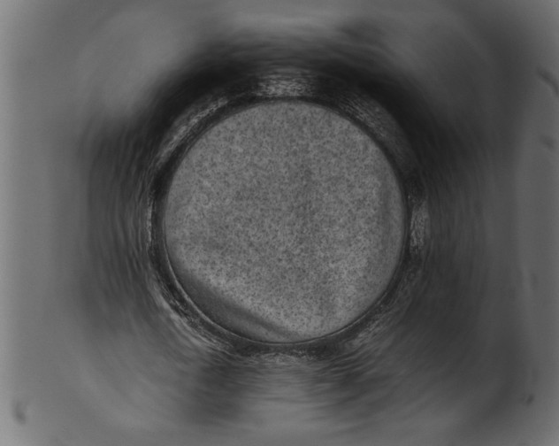 X0000101220722200807181551
