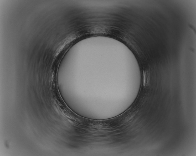 X0000101220723200807181551