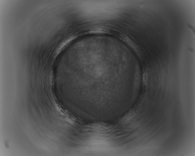 X0000101220724200807181551