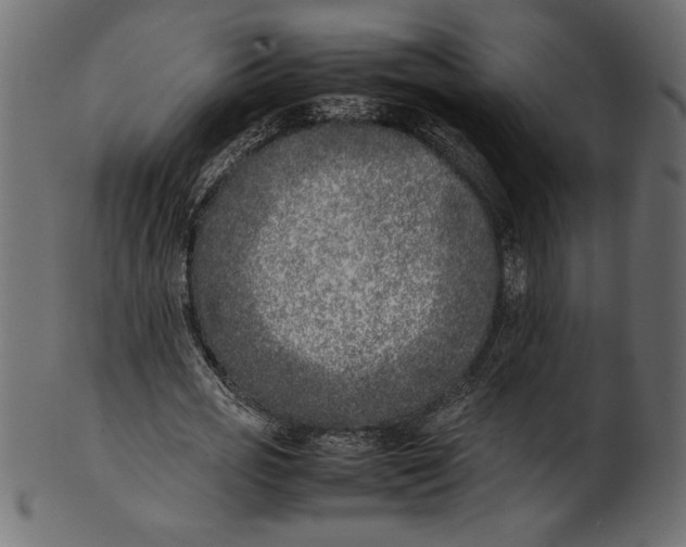 X0000101220725200807181551