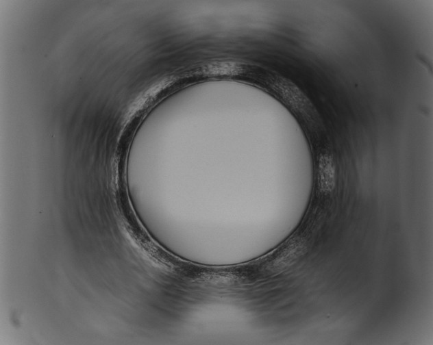 X0000101220726200807181551