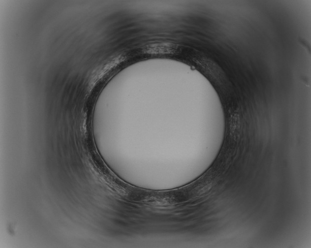 X0000101220727200807181551