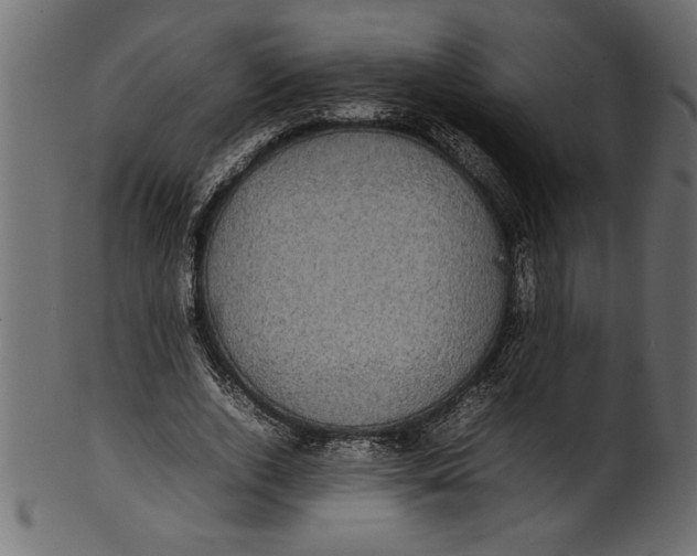 X0000101220728200807181551
