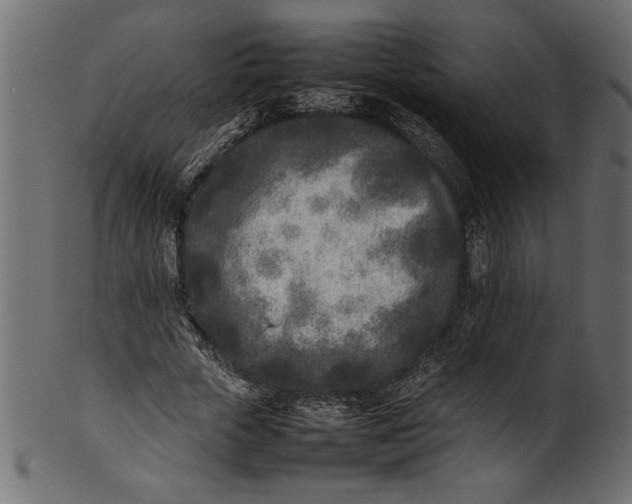 X0000101220729200807181551