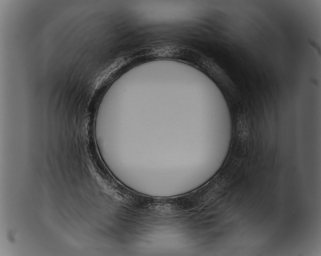 X0000101220730200807181551