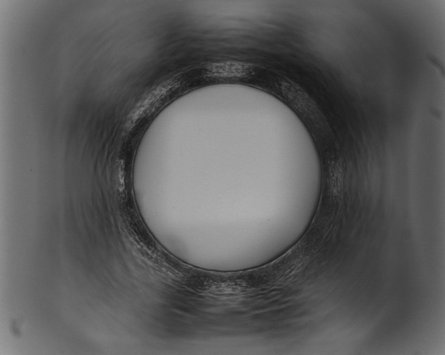 X0000101220731200807181551
