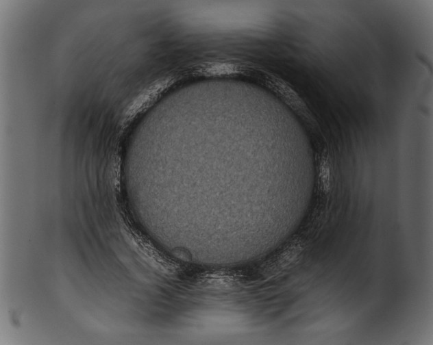 X0000101220732200807181551