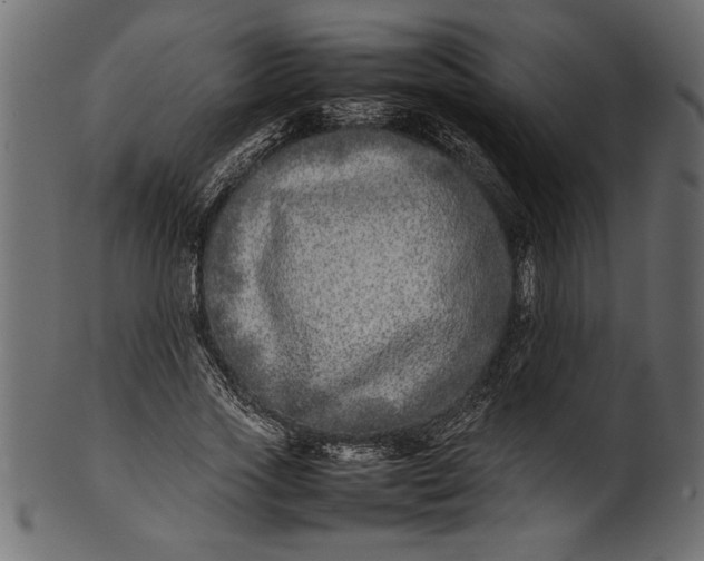 X0000101220733200807181551