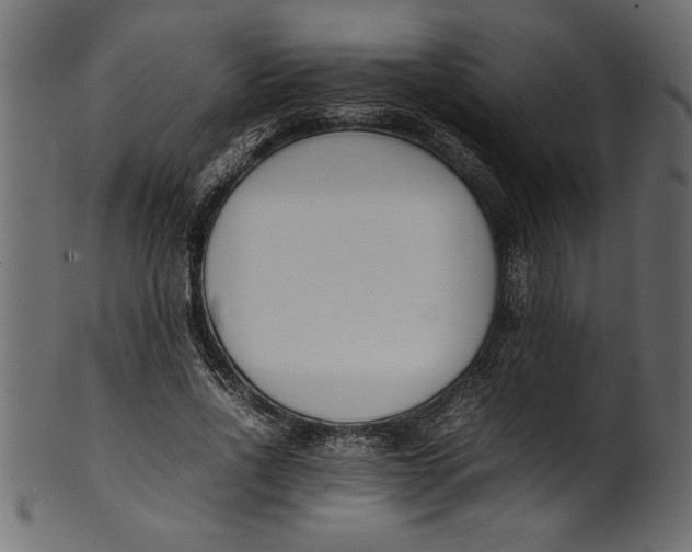 X0000101220734200807181551