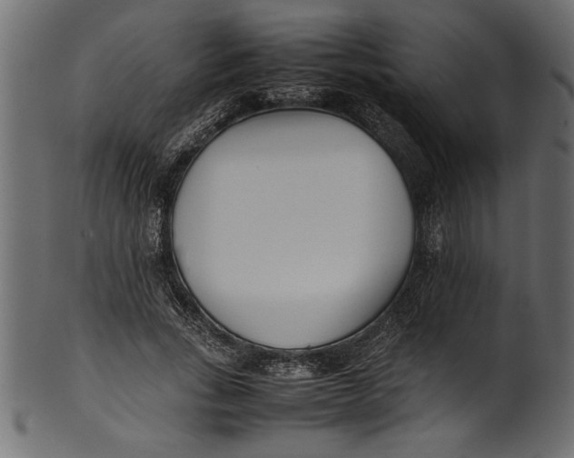 X0000101220735200807181551