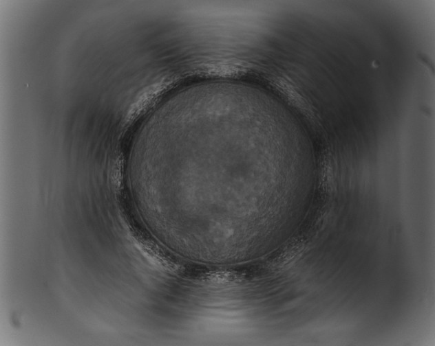 X0000101220736200807181551