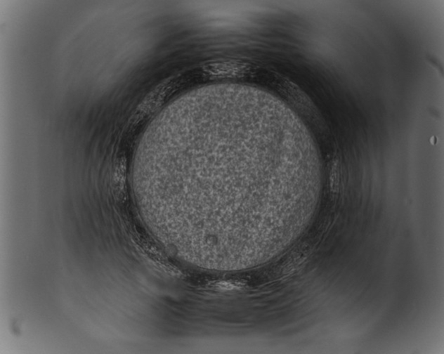 X0000101220737200807181551