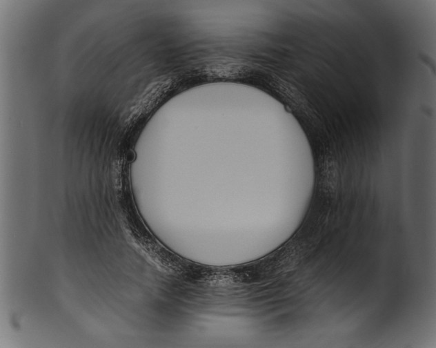 X0000101220738200807181551