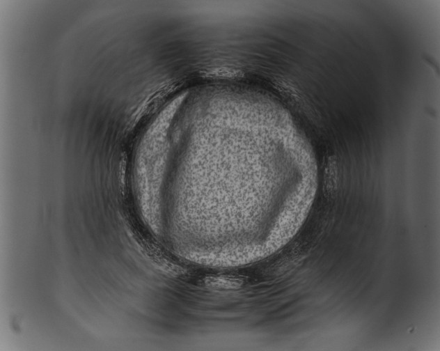X0000101220739200807181551