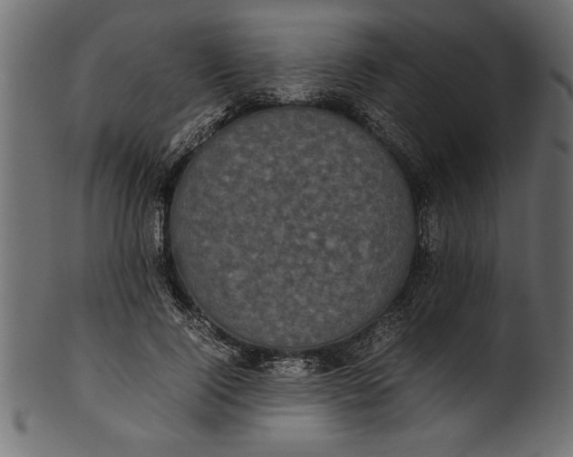 X0000101220740200807181551