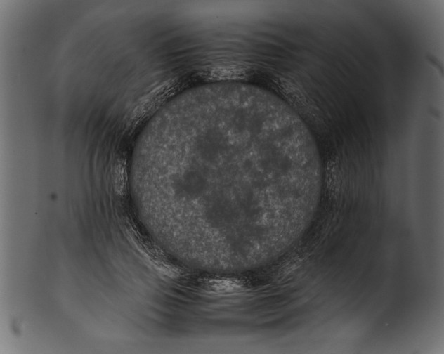 X0000101220741200807181551