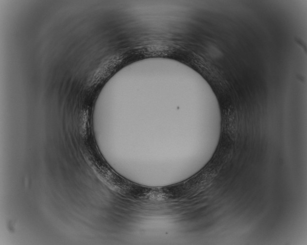 X0000101220742200807181551