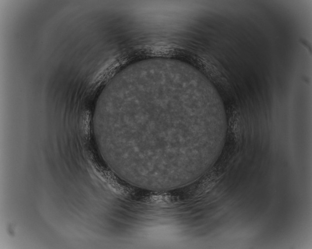 X0000101220744200807181551