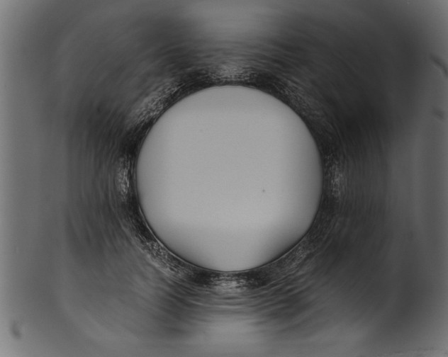 X0000101220746200807181551