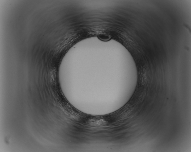 X0000101220747200807181551