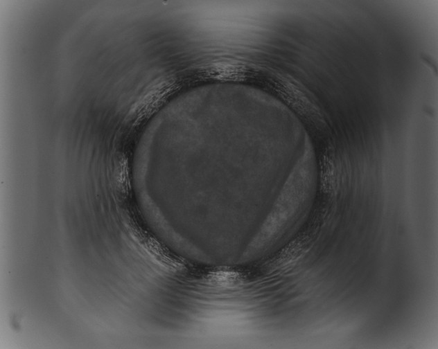 X0000101220748200807181551