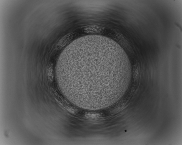 X0000101220749200807181551