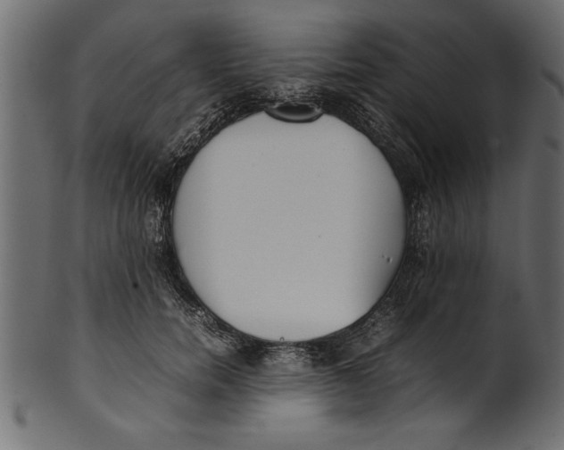 X0000101220750200807181551