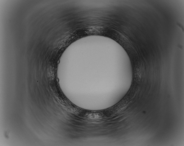 X0000101220751200807181551