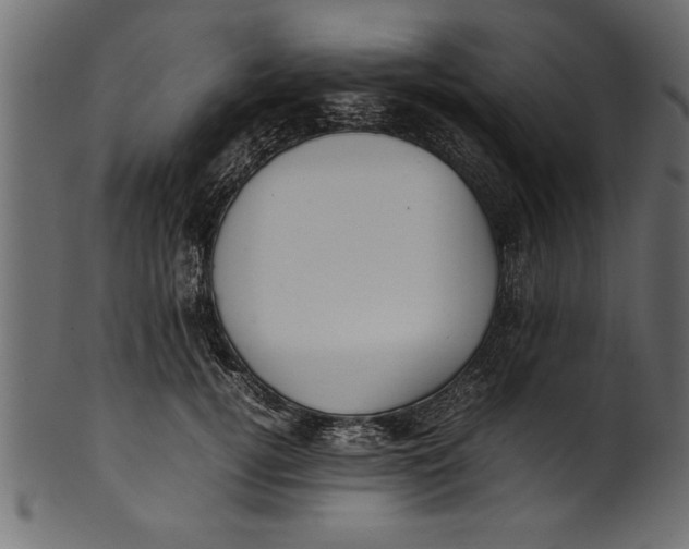 X0000101220752200807181551