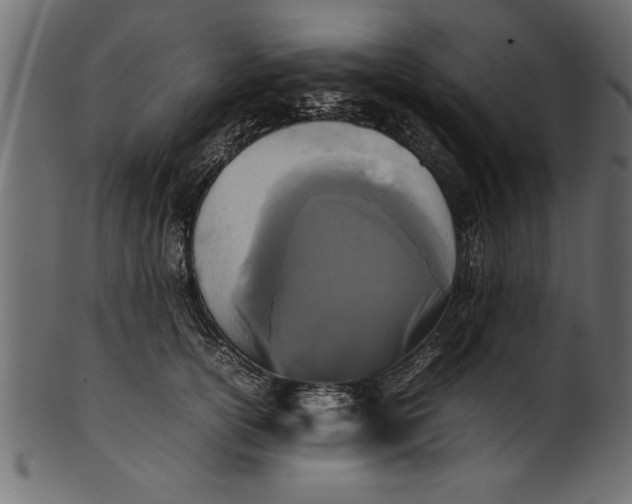 X0000101220754200807181551