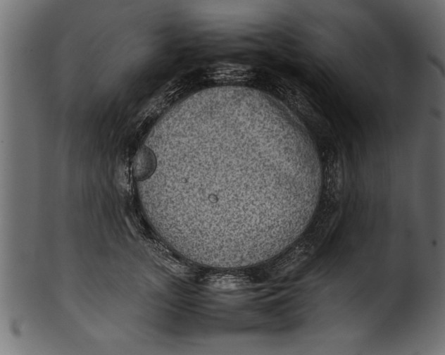 X0000101220755200807181551