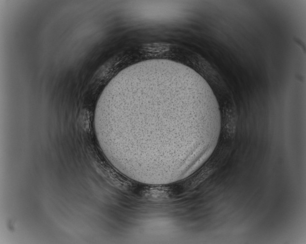 X0000101220758200807181551
