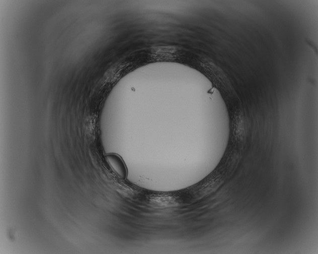X0000101220759200807181551
