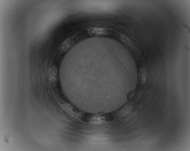 X0000101220760200807181551