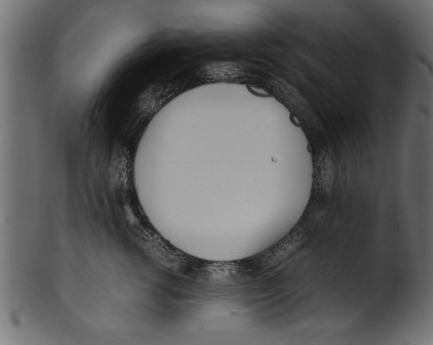 X0000101220762200807181551