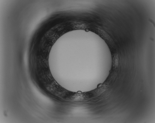X0000101220764200807181551