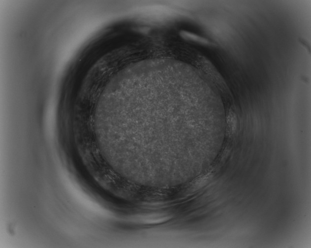 X0000101220765200807181551