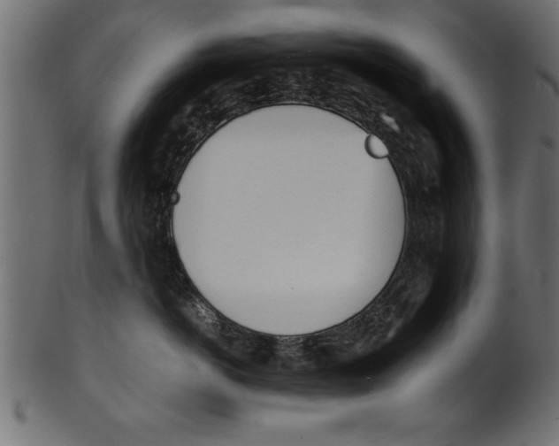 X0000101220766200807181551