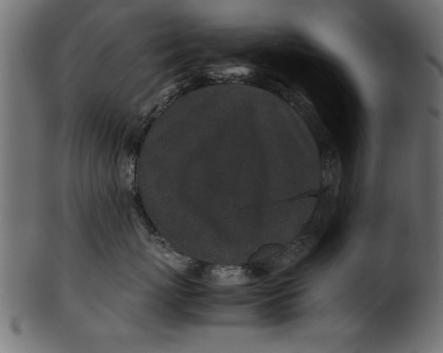 X0000101220767200807181551