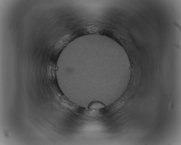 X0000101220768200807181551